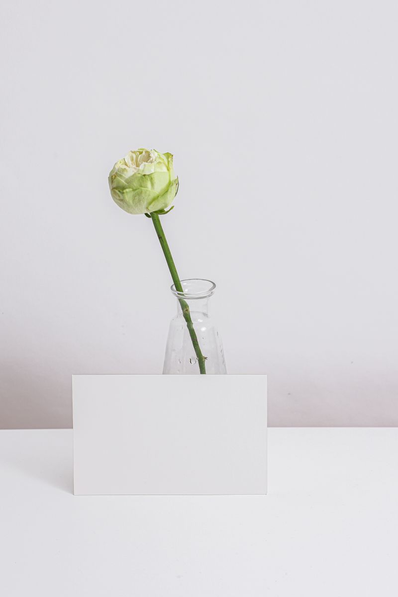 Een blanco kaartje voor een vaasje met één witte ranonkel.